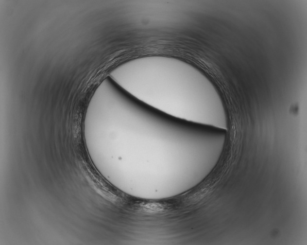 X0000116150409200912141202