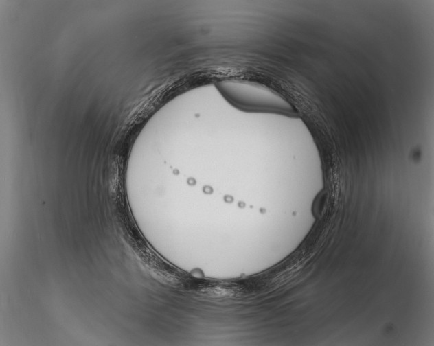 X0000116150412200912141202