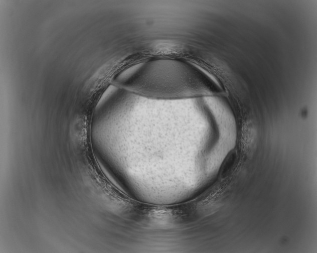 X0000116150413200912141202