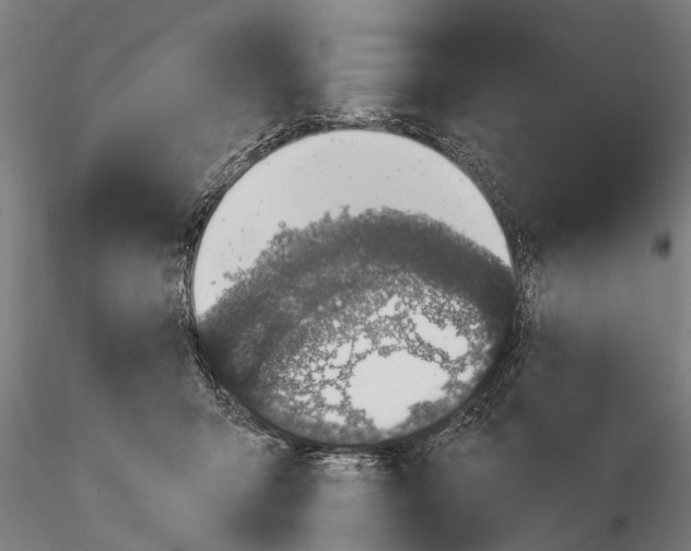 X0000116150415200912141202