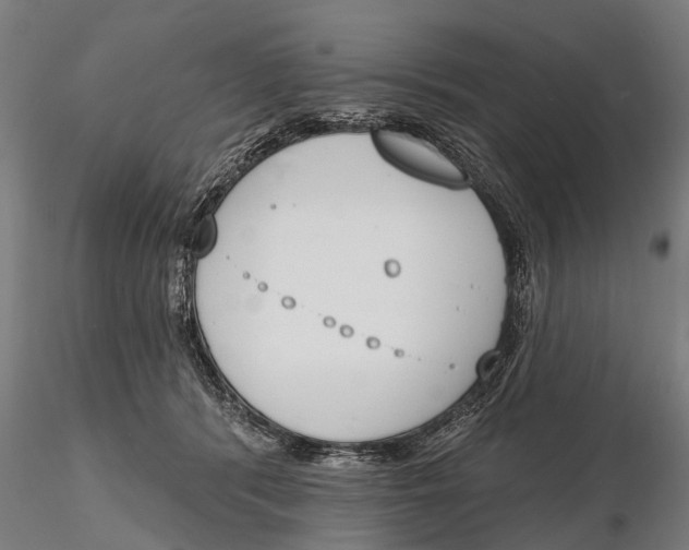 X0000116150416200912141202