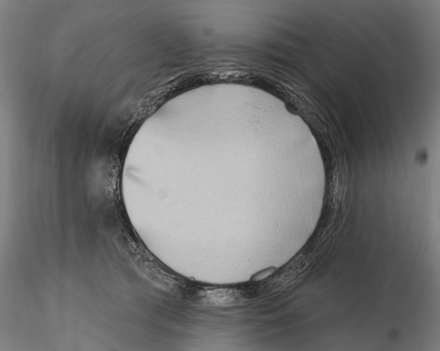 X0000116150417200912141202