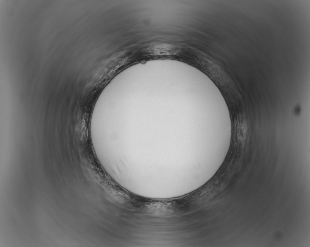 X0000116150422200912141202