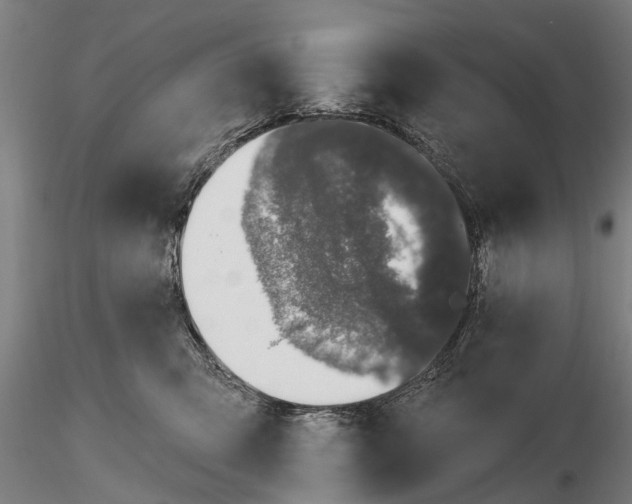 X0000116150423200912141202