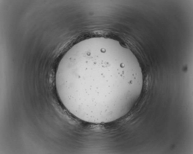 X0000116150424200912141202