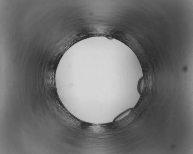 X0000116150425200912141202