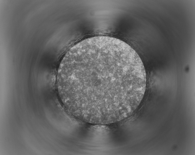 X0000116150427200912141202