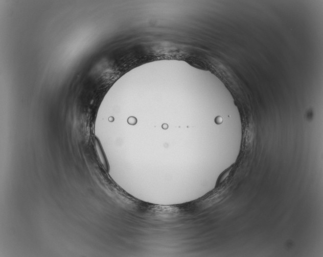 X0000116150429200912141202