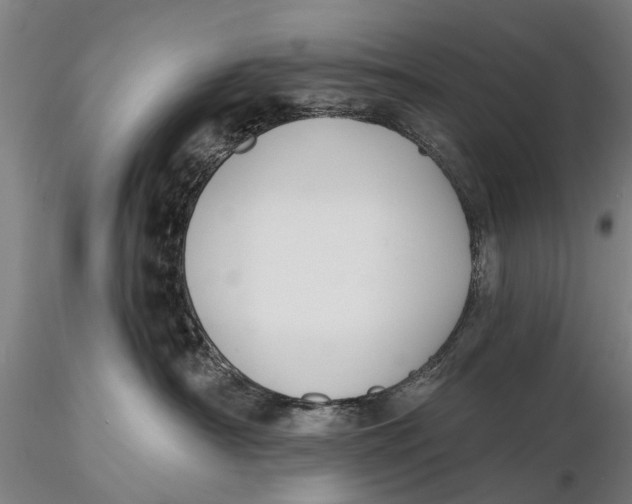 X0000116150430200912141202