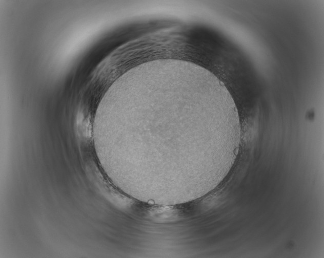 X0000116150431200912141202