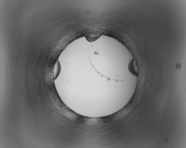 X0000116150432200912141202