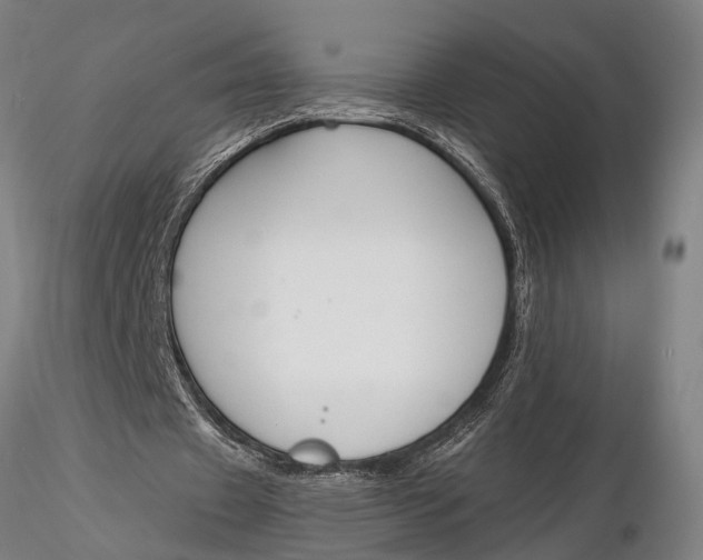 X0000116150433200912141201