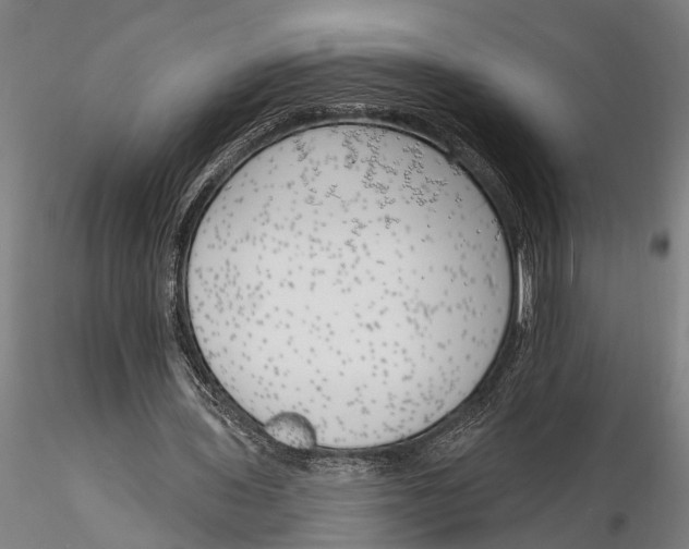 X0000116150435200912141201