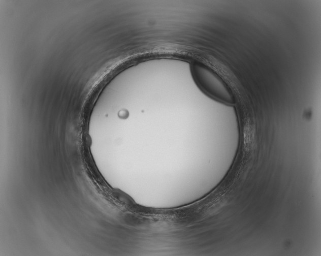 X0000116150436200912141201