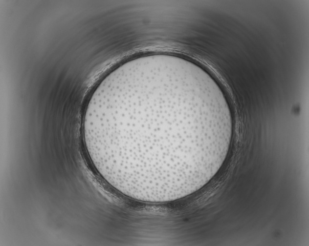 X0000116150437200912141201