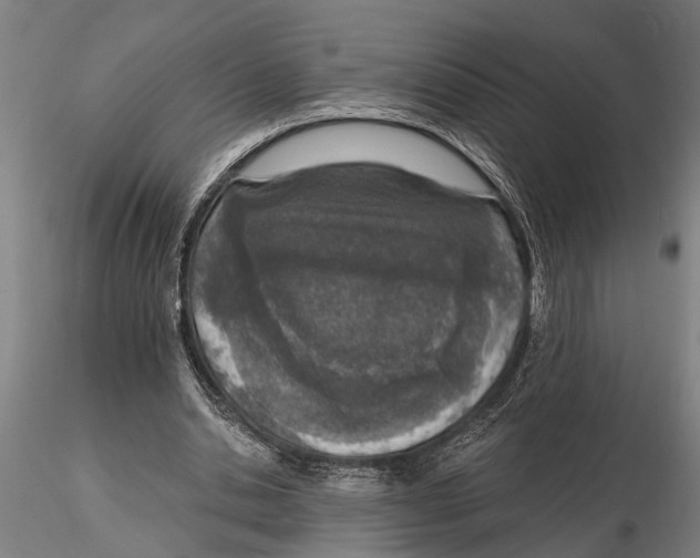 X0000116150438200912141201