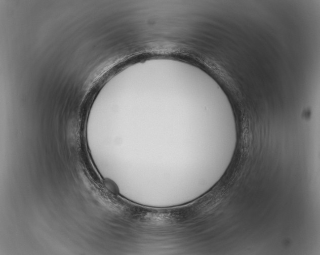 X0000116150440200912141201