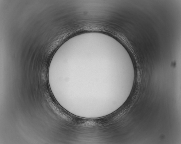 X0000116150441200912141201