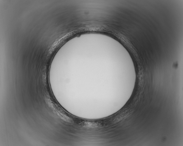 X0000116150442200912141201