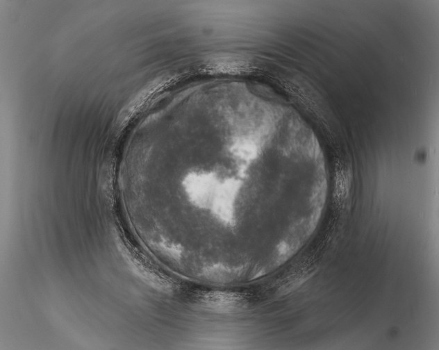 X0000116150444200912141201