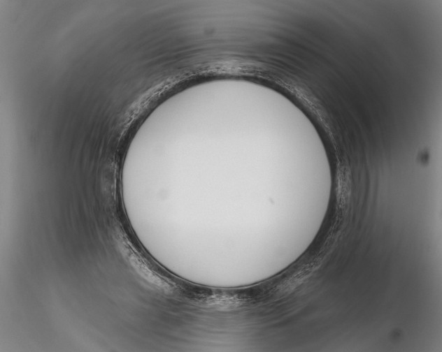 X0000116150445200912141201