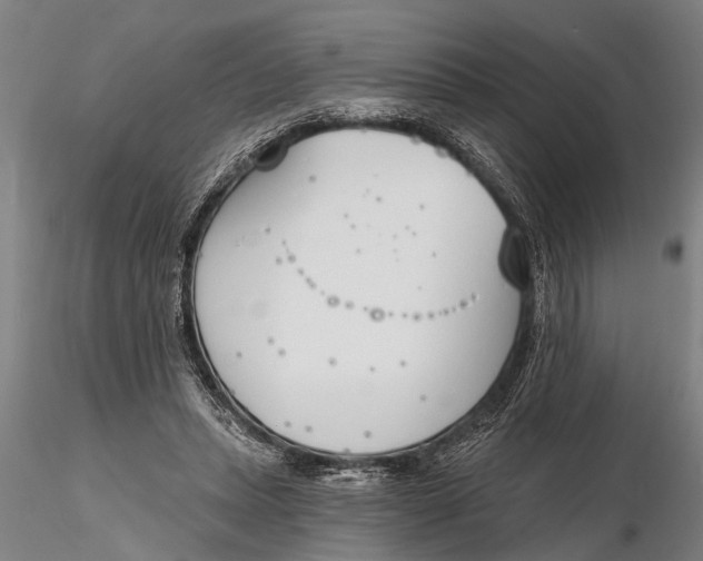 X0000116150447200912141201