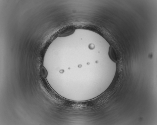 X0000116150448200912141201