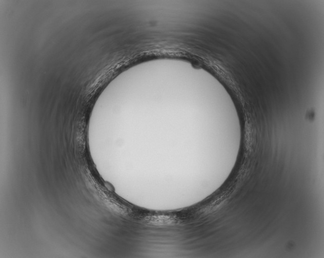 X0000116150449200912141201