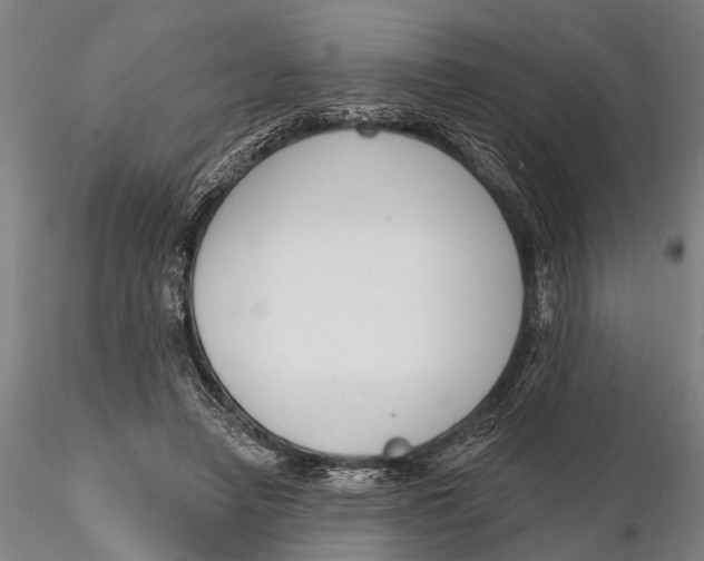 X0000116150450200912141201