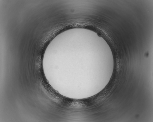 X0000116150451200912141201