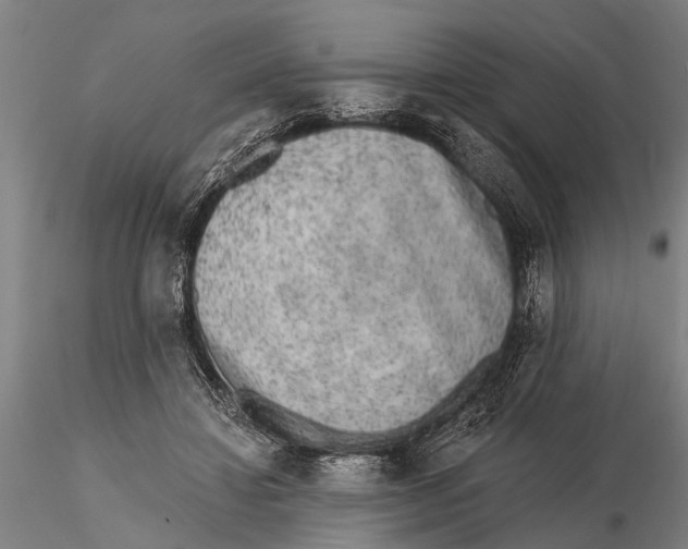 X0000116150452200912141201