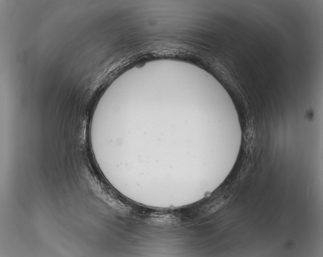 X0000116150454200912141201