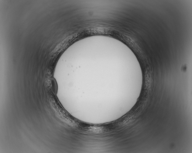 X0000116150457200912141201