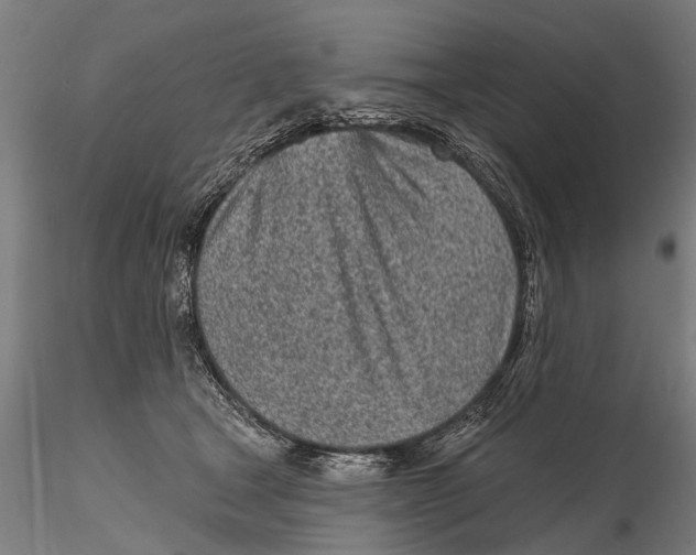 X0000116150465200912141201