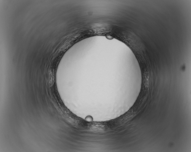 X0000116150471200912141202