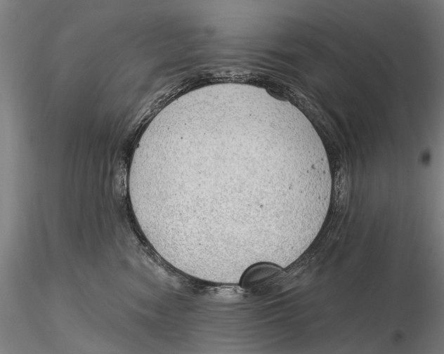 X0000116150474200912141202