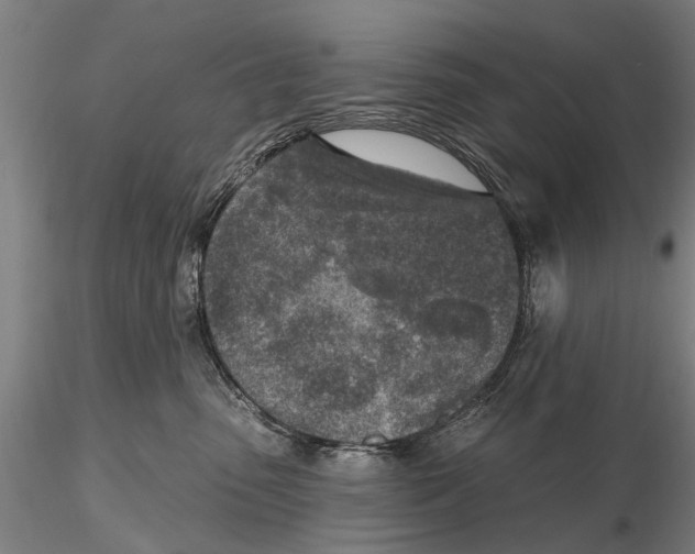 X0000116150475200912141202