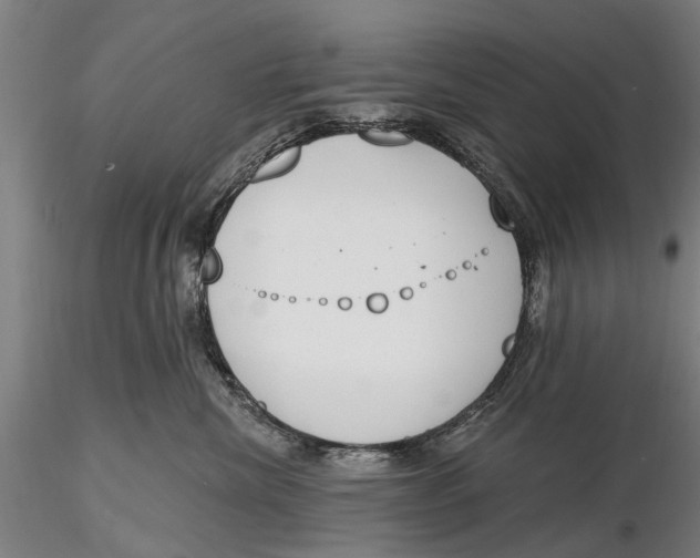 X0000116150476200912141202