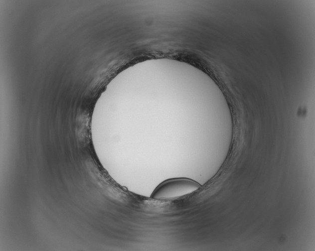 X0000116150480200912141202