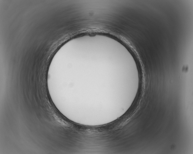 X0000116150481200912141201