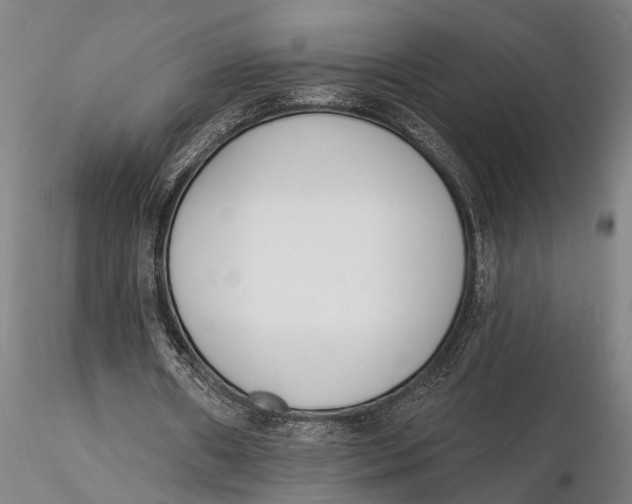 X0000116150482200912141201