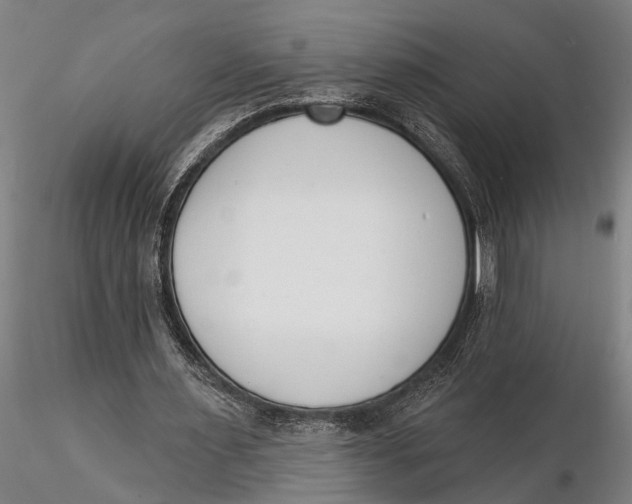 X0000116150483200912141201