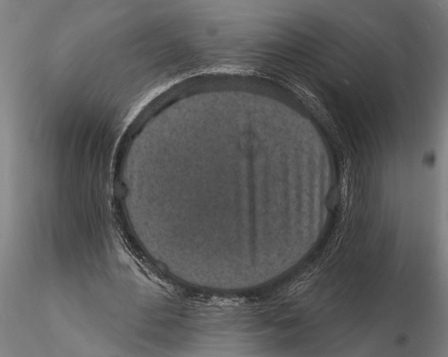 X0000116150484200912141201