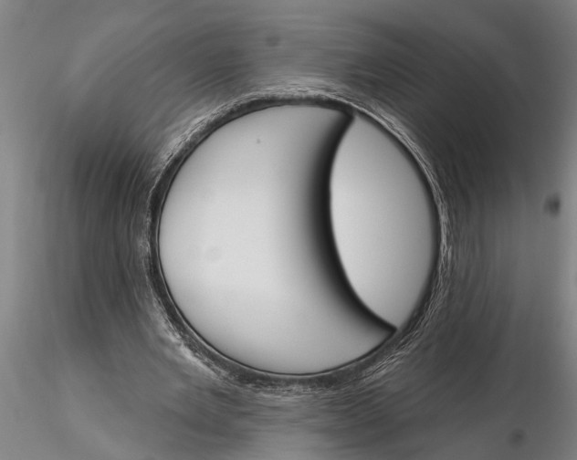 X0000116150485200912141201