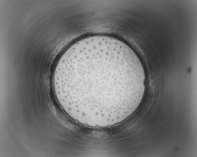 X0000116150487200912141201