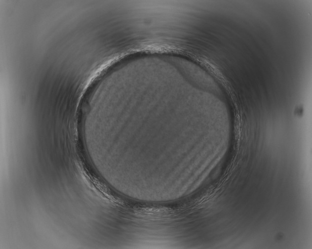 X0000116150488200912141201