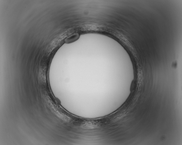 X0000116150489200912141201