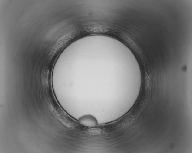 X0000116150490200912141201