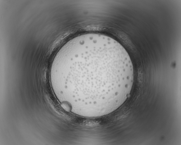 X0000116150491200912141201