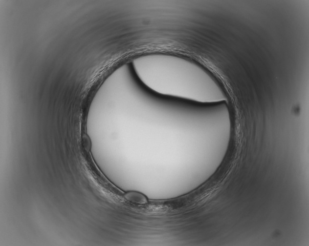 X0000116150493200912141201